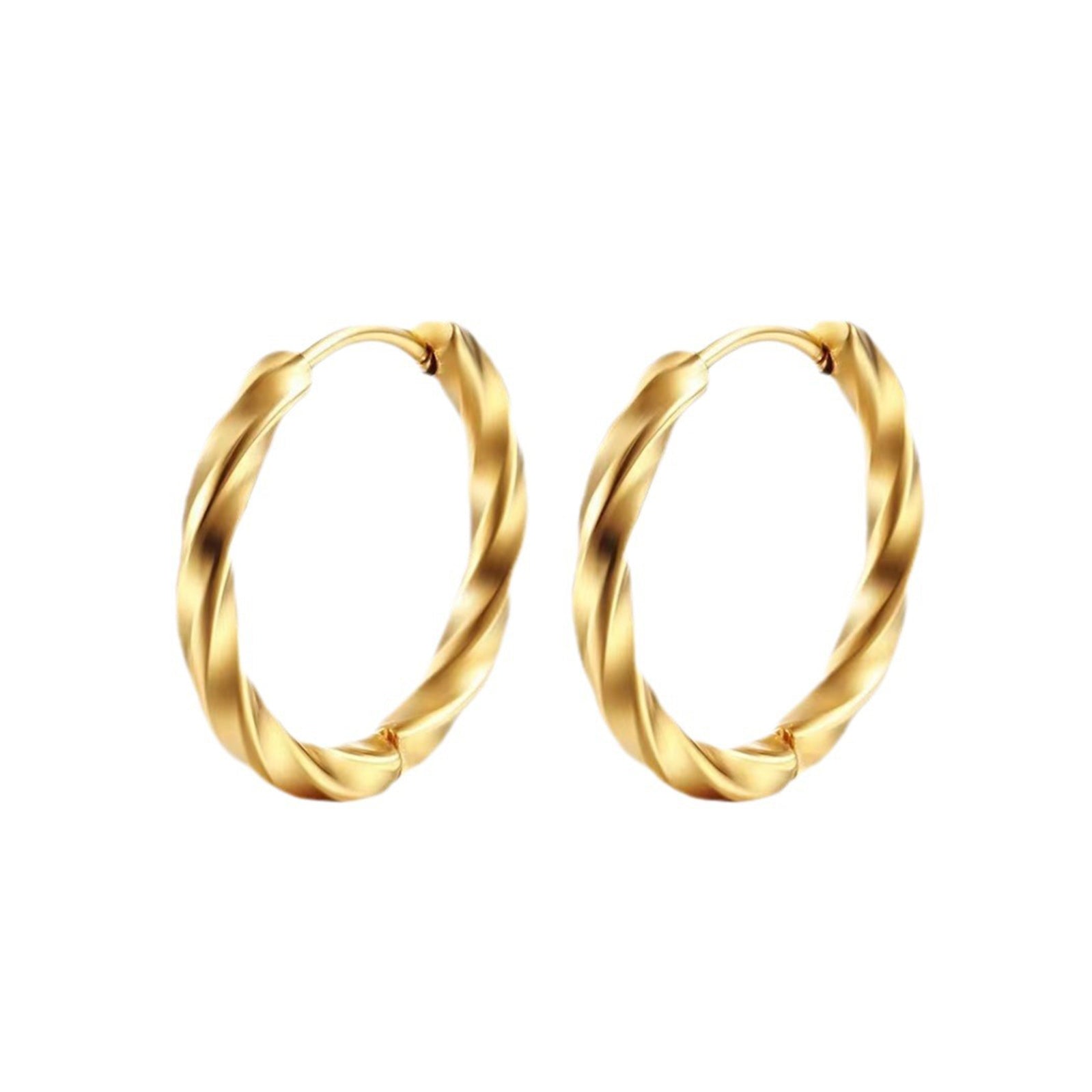 Twisted Hoop Stainless Steel Earrings